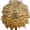 Gold feather bridal hand fan