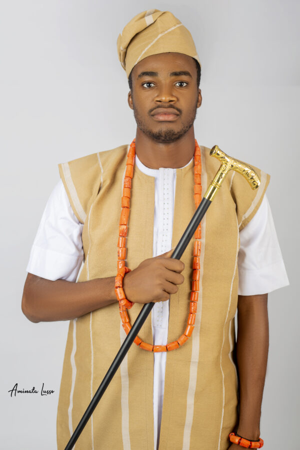 Femi walking stick