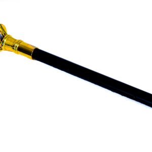 Folarin Walking Stick
